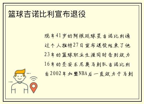 篮球吉诺比利宣布退役